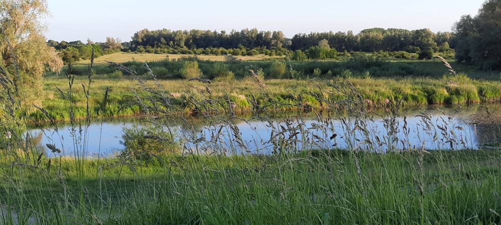 Winnende foto