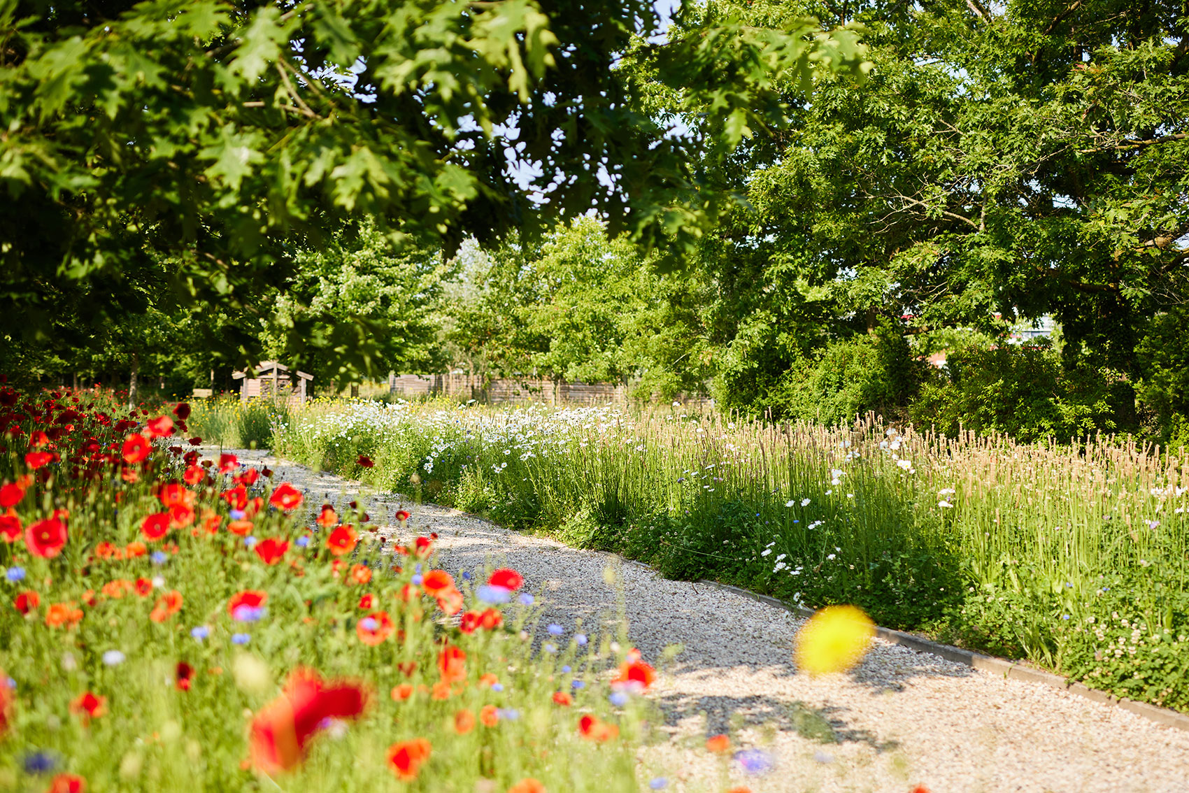 Welkom bij DELA IJsselhof | crematorium en (natuur)begraafplaats in Gouda