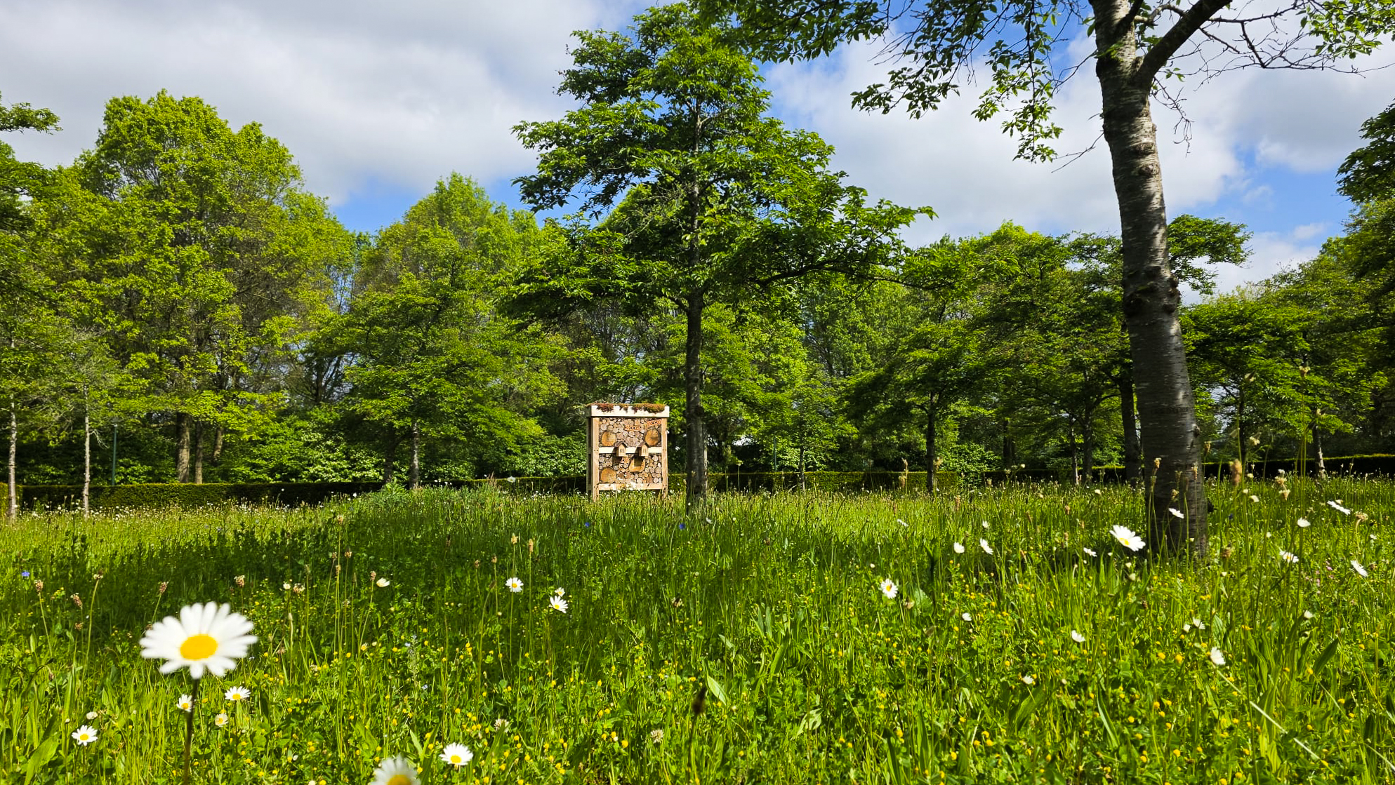 DELA_Maaslanden_Nieuwkuijk_Crematorium_Uitvaartcentrum_19