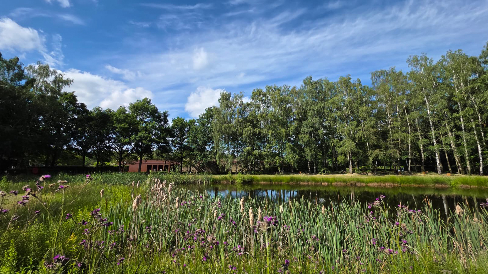Crematorium en uitvaartcentrum Rijtackers in Eindhoven | DELA