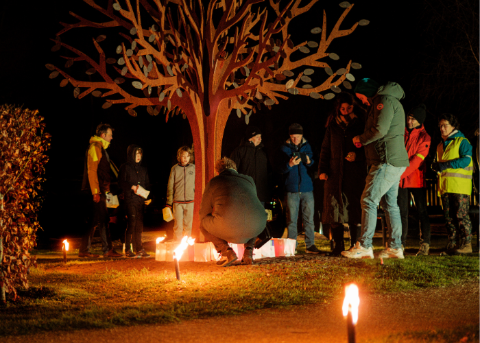 Lichtjesavond boom