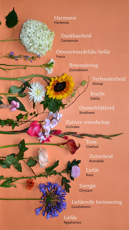 Zenuwinzinking Klusjesman Alert Rouwbloemen, welke bloemen kies je en wat is de betekenis ervan? | DELA