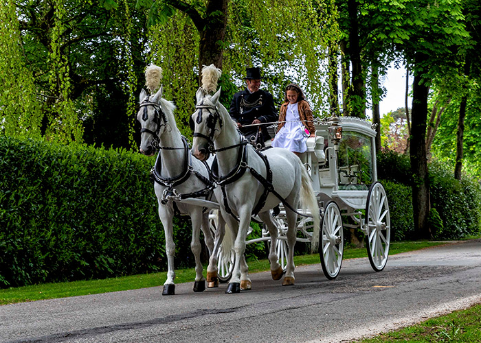 Rouwkoets met witte paarden en kleindochter van de overledene naast de koetsier